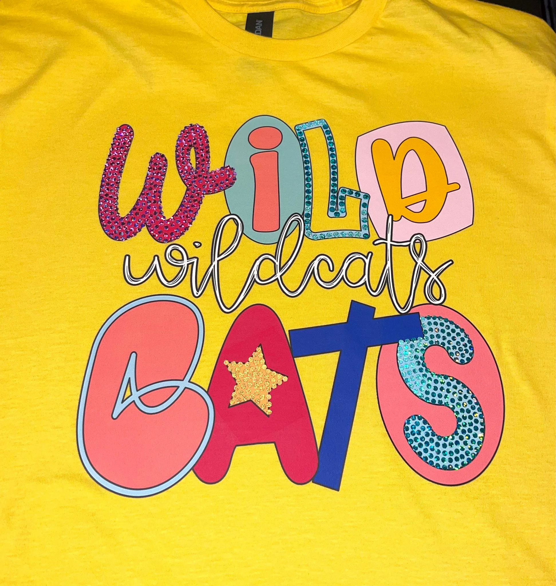 Pirates Fun and Funky Mascot Graphic Tee,Sweatshirt - Image 2