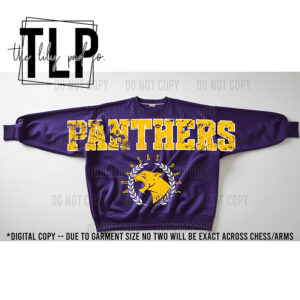 AP Panthers Oversized Grunge Crest Mascot Sweatshirt-Long Sleeve Graphic Top