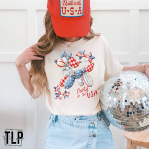 Party In The USA DTF Transfer